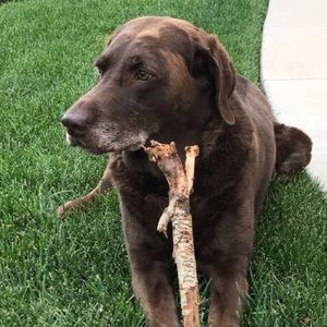 Meet your Posher, Slate